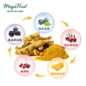 Mega Food 美国 姜黄补充全身健康片 90片/瓶