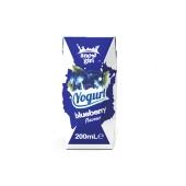 【一般贸易】斯纳格 白俄罗斯 蓝莓味酸奶200ml*24盒