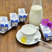 【一般贸易】欧惠 白俄罗斯 特纯牛奶1L*4盒 肪含量3.2%